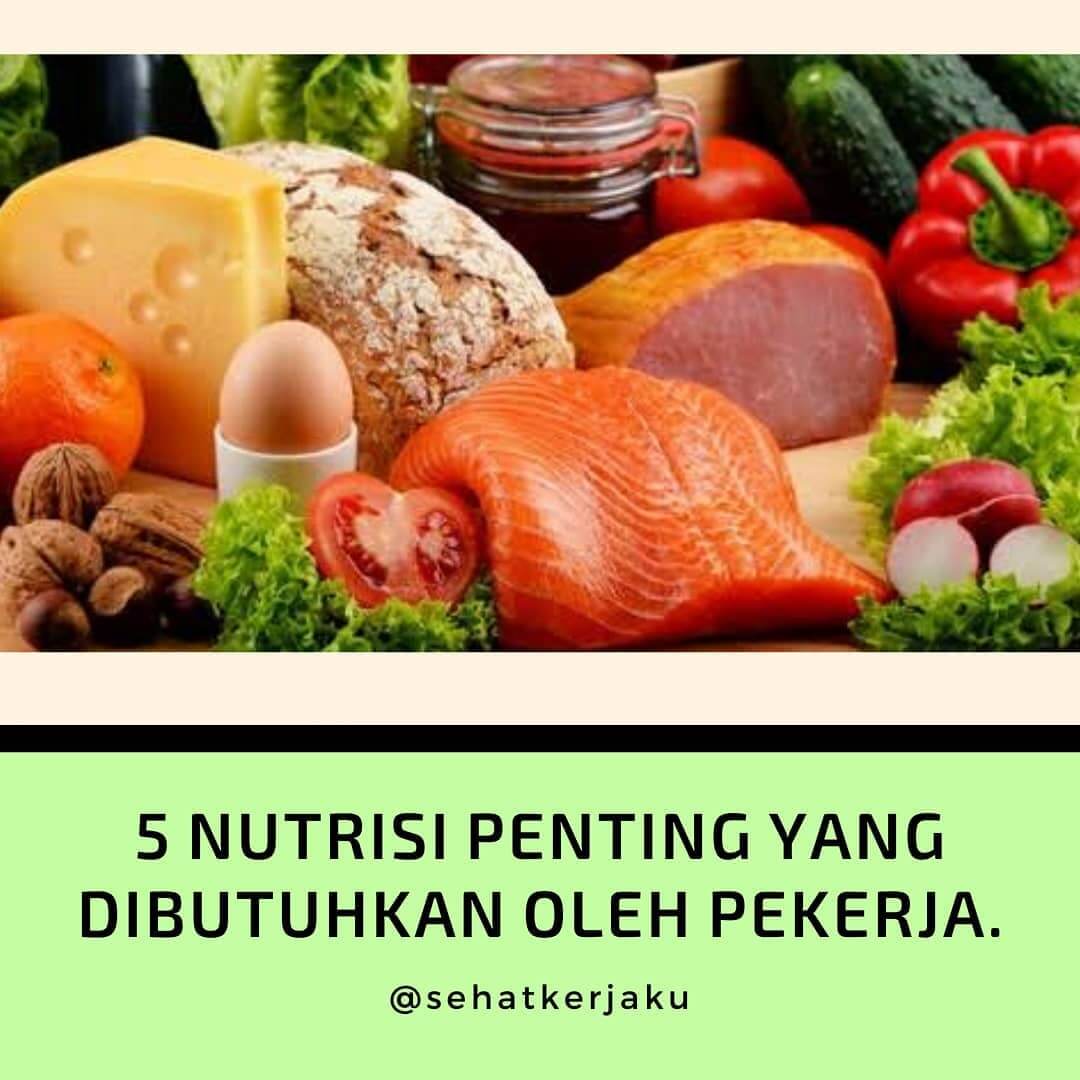 5 NUTRISI PENTING YANG DIBUTUHKAN OLEH PEKERJA