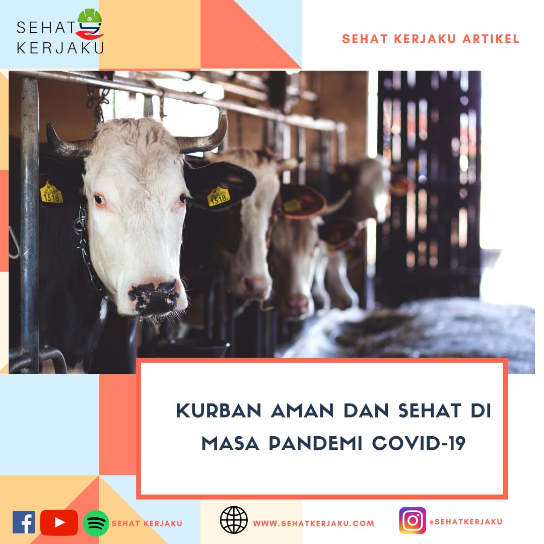 Kurban Aman dan Sehat di Masa Pandemi Covid-19