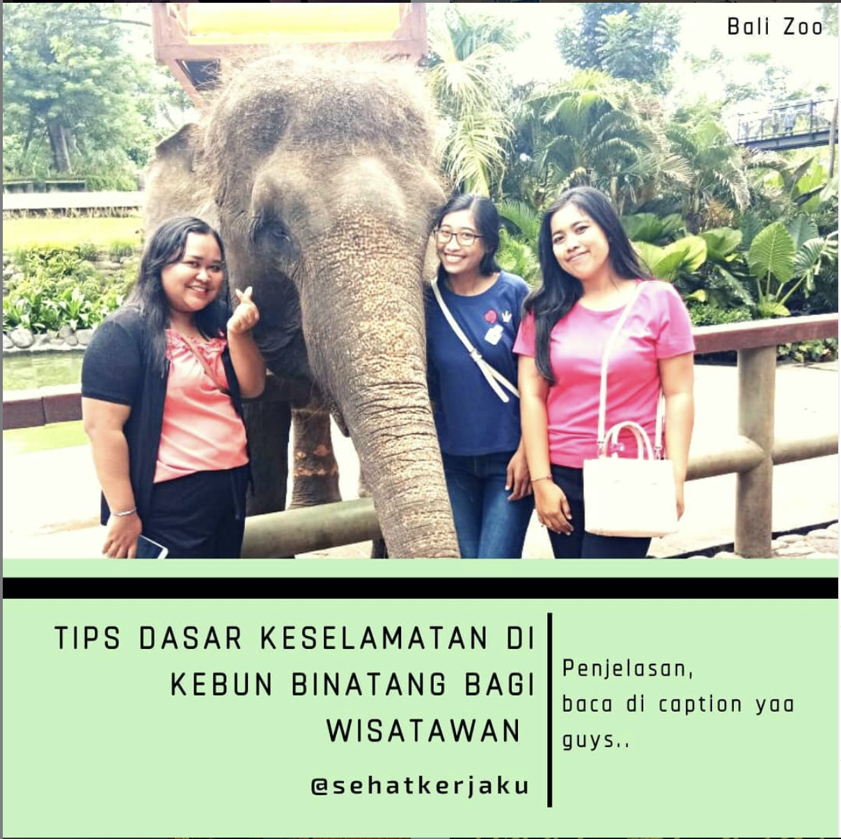 Tips Dasar Keselamata di Kebun Binatang Bagi Wisatawan